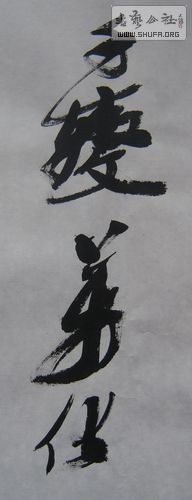 DSCN2781.JPG