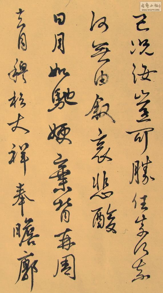 DSCF8076.JPG