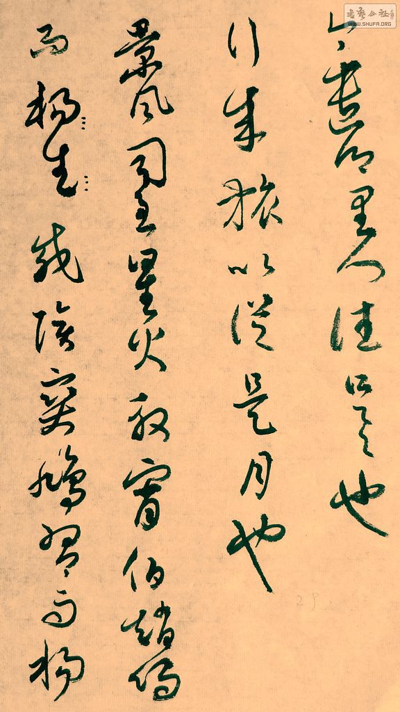 DSCF8100.JPG