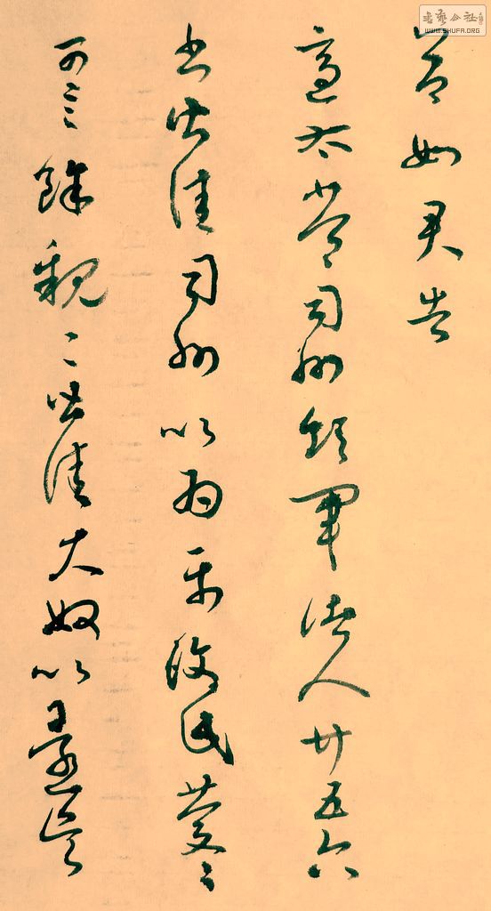 DSCF8123.JPG
