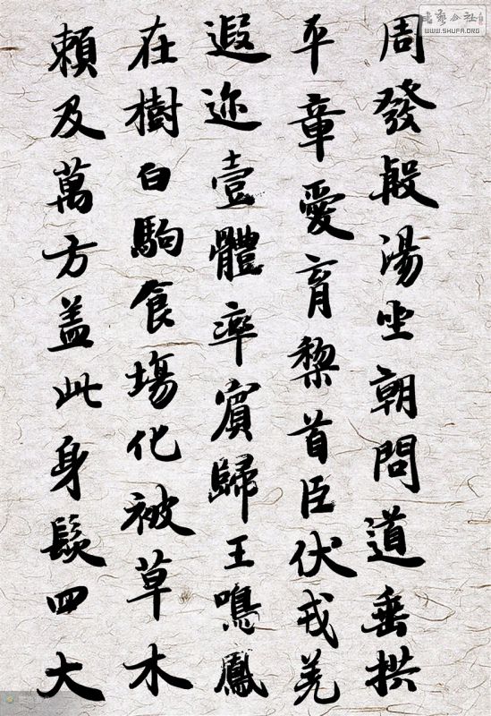201106152.jpg