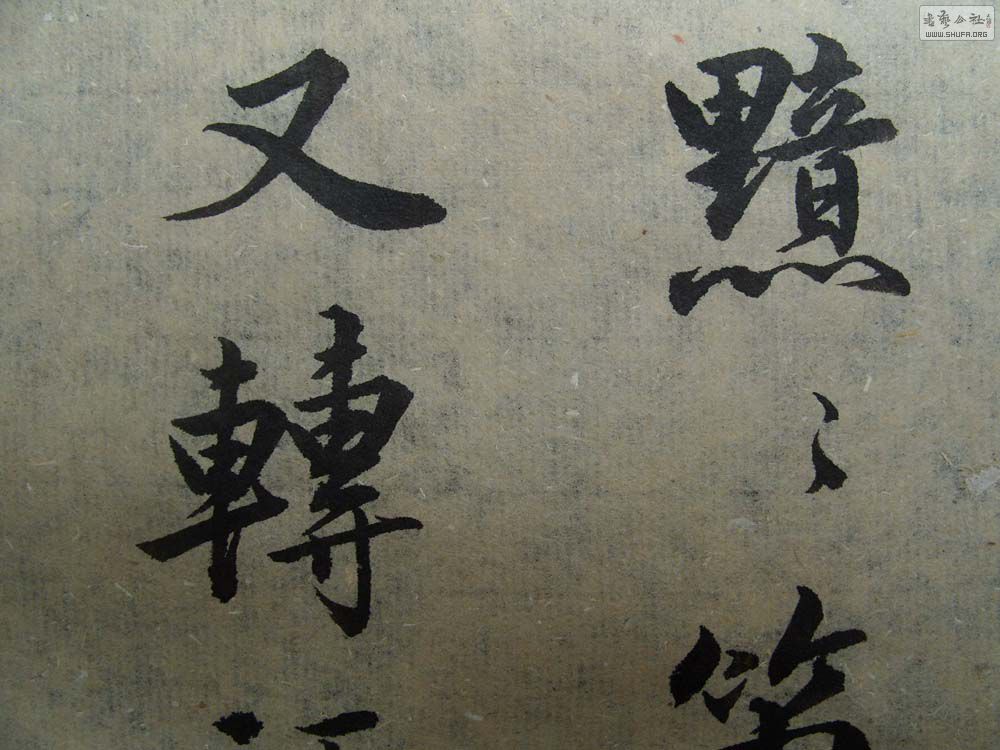S1054616.JPG