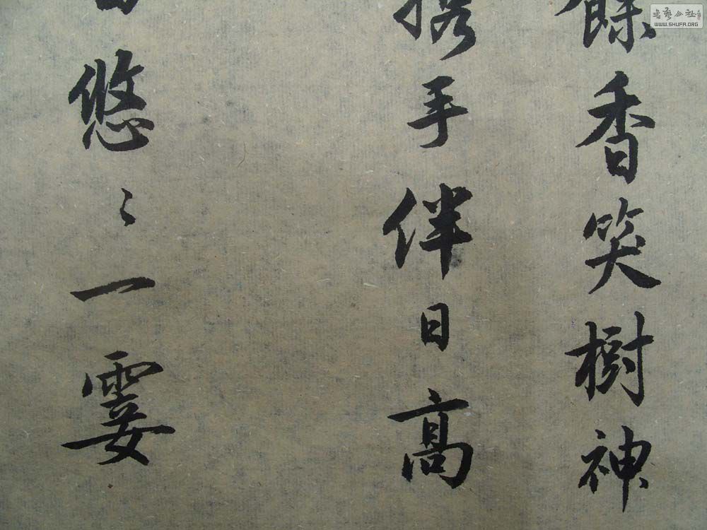 S1054605.JPG