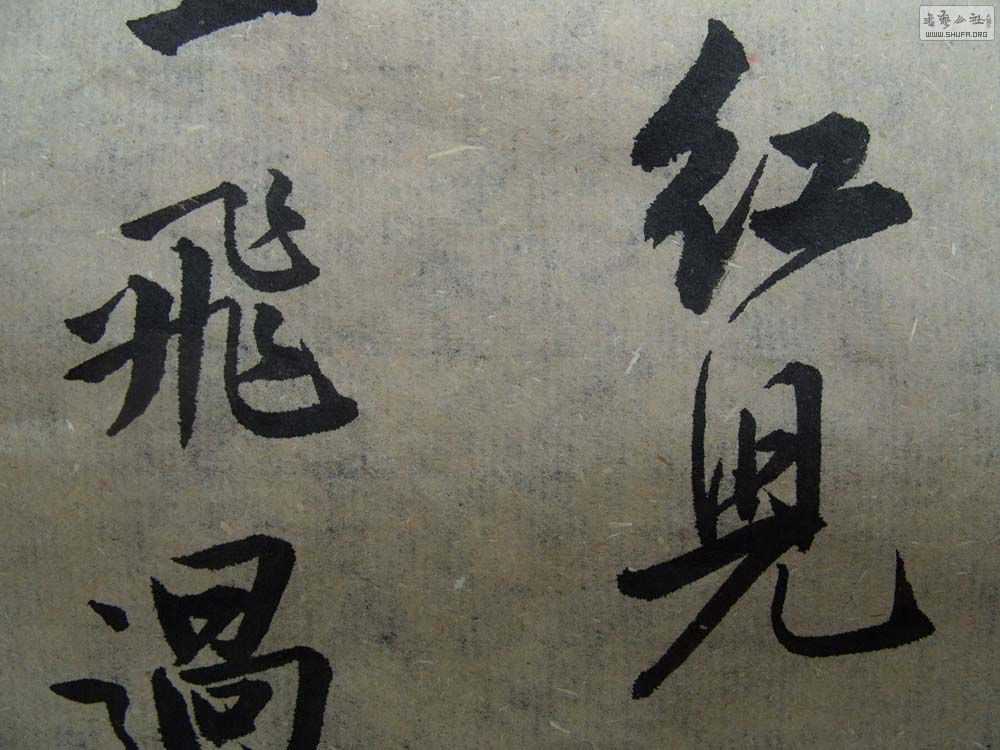 S1054619.JPG