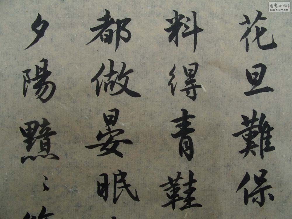 S1054604.JPG