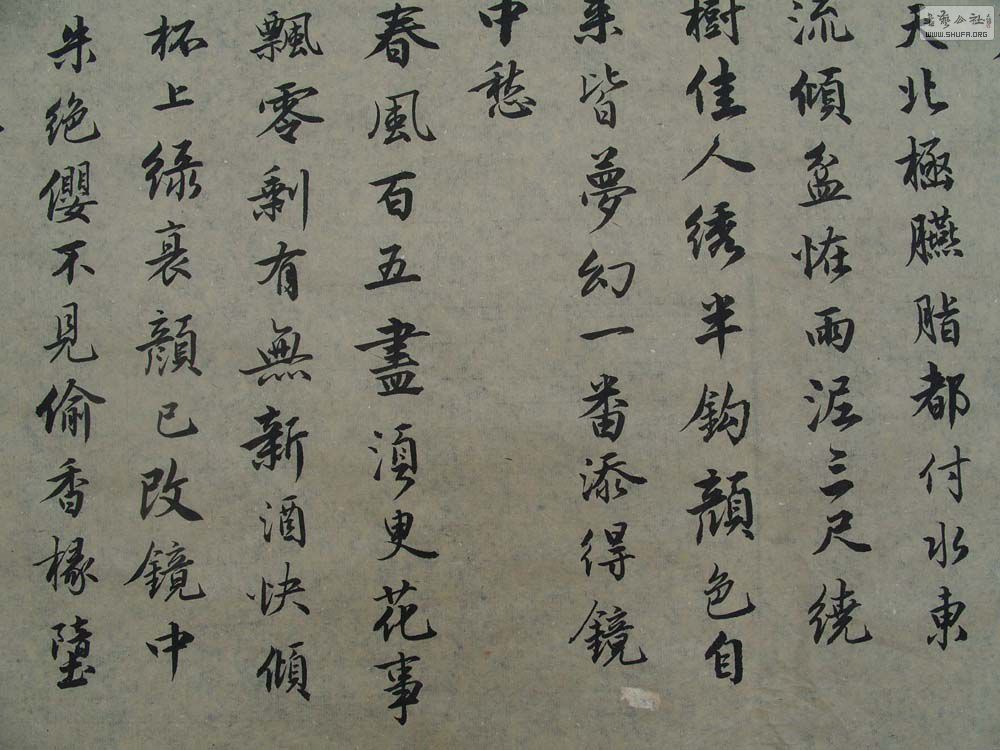 S1054601.JPG
