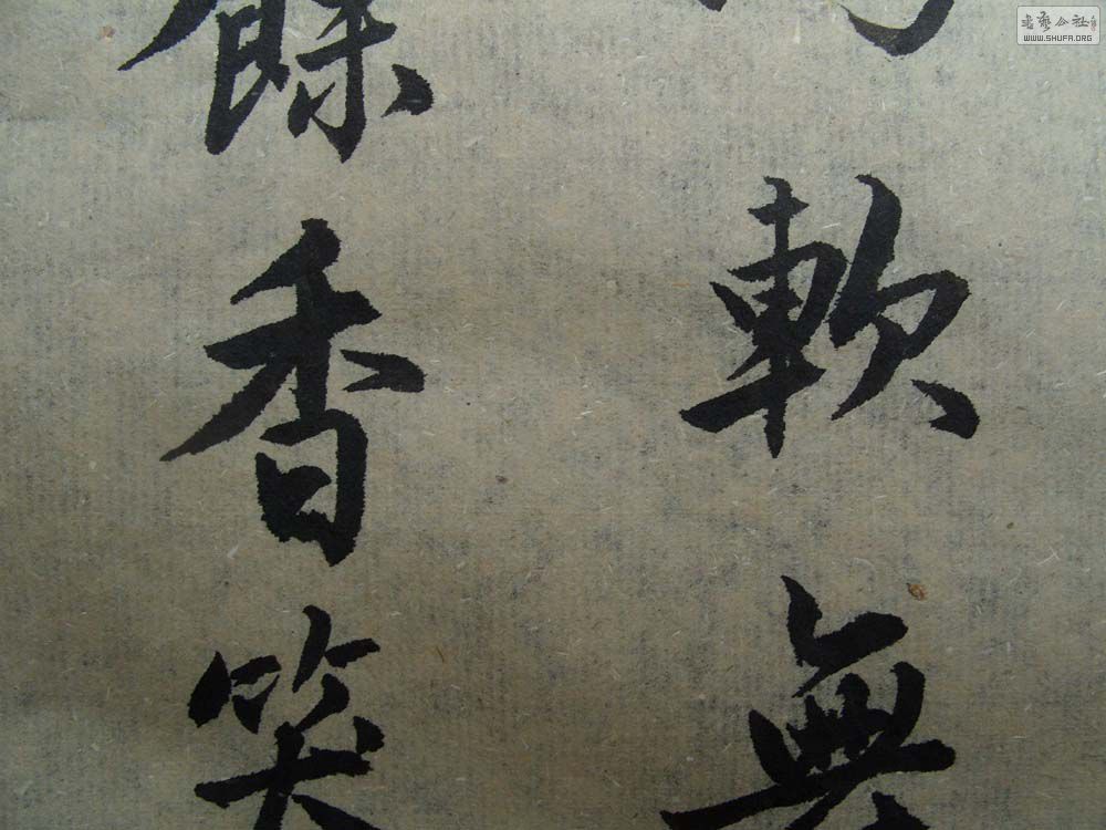 S1054615.JPG