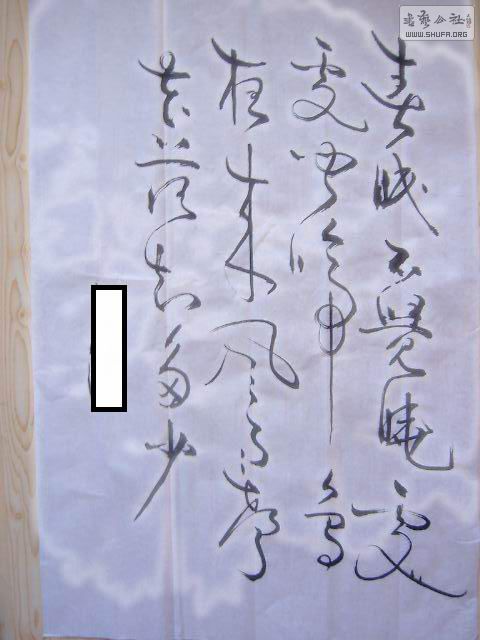EPSN1494.JPG