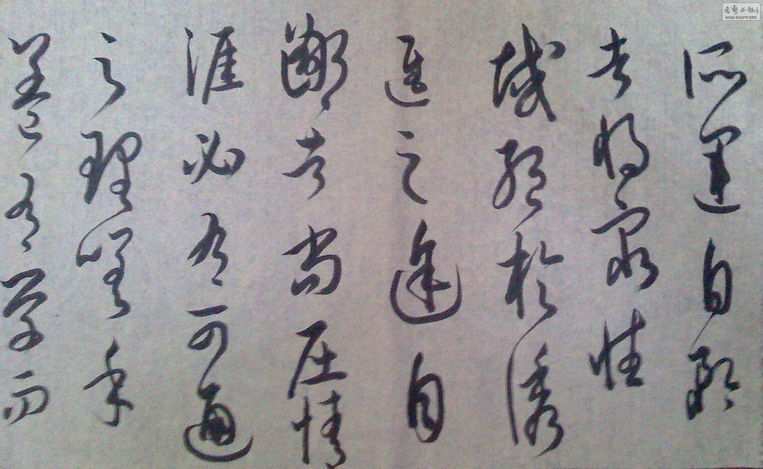 IMG0531071100.jpg