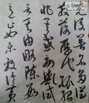 IMG0529163200.jpg