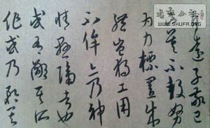 IMG0531071101.jpg