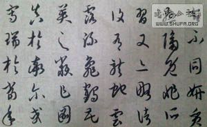 IMG0528180800.jpg