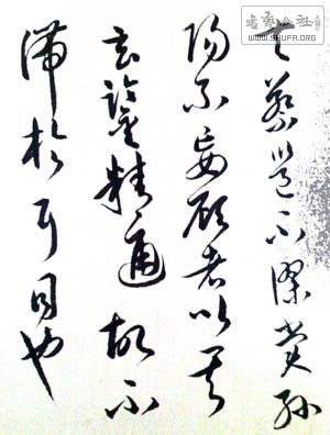 IMG0610061500.jpg