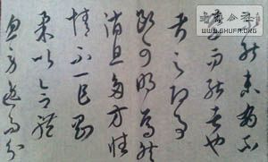 IMG0531071000.jpg