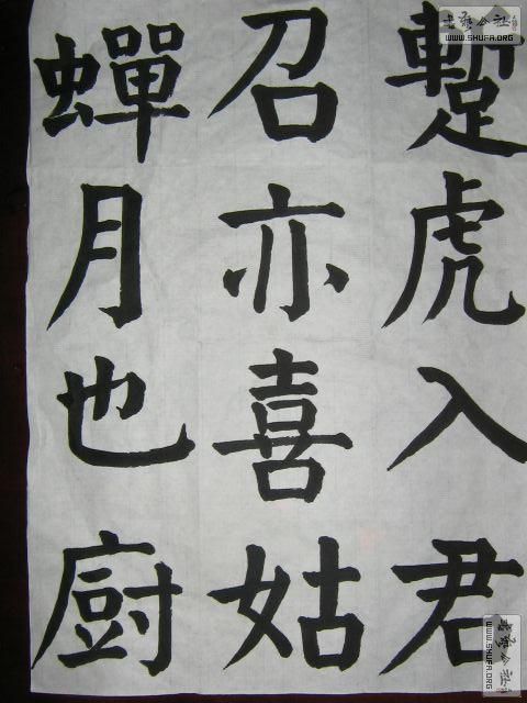 11060521178f6dc1f333efe5cf.jpg
