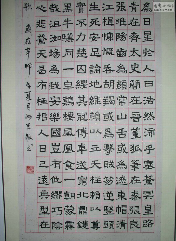 P1010141.jpg
