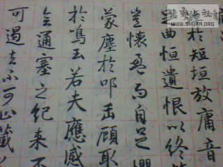 picture_00024.jpg