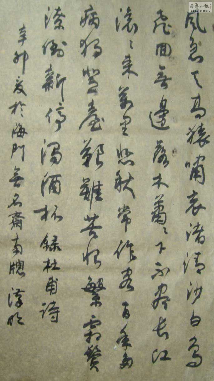 STP63355.jpg