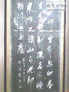 IMG0146A.jpg