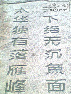 IMG0161A.jpg