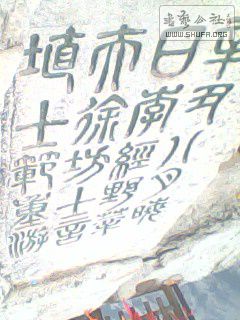 IMG0159A.jpg