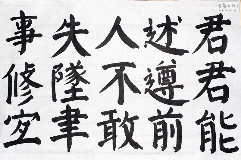 IMGP9991.jpg