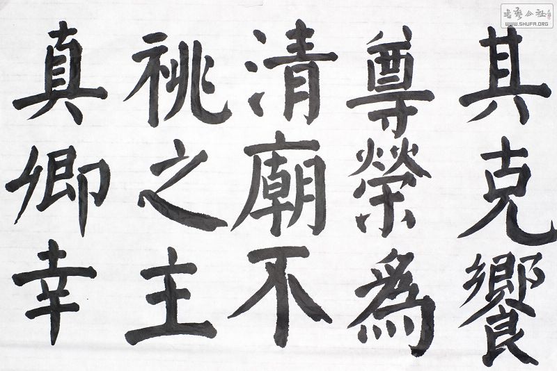 IMGP9990.jpg