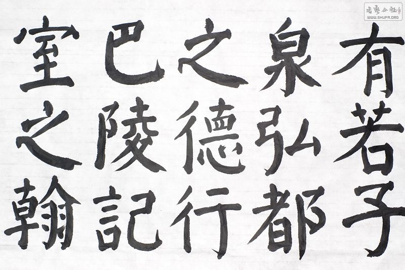 IMGP9994.jpg