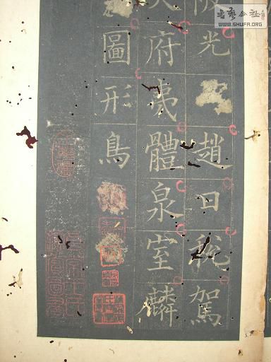 CIMG2977.JPG