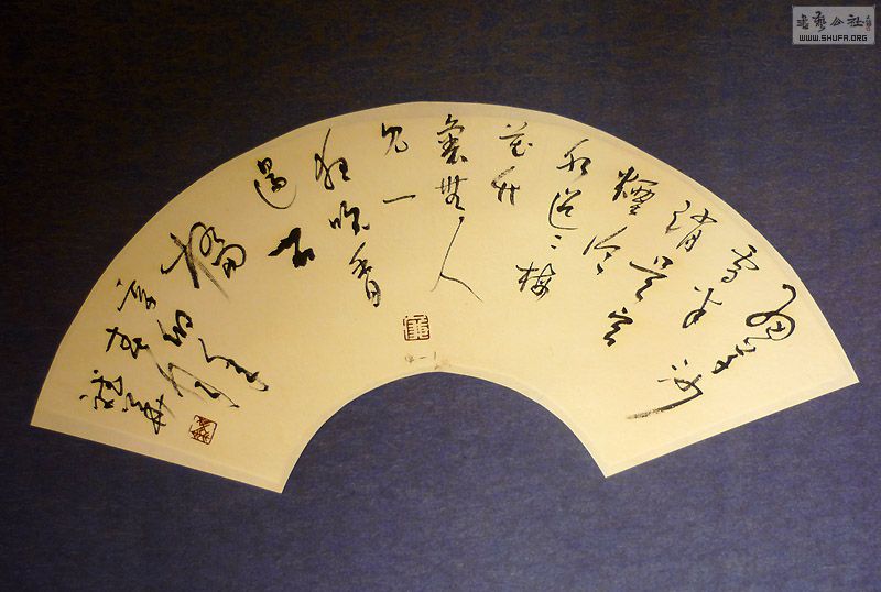 P1050048.jpg