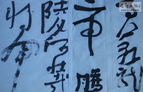 06.jpg