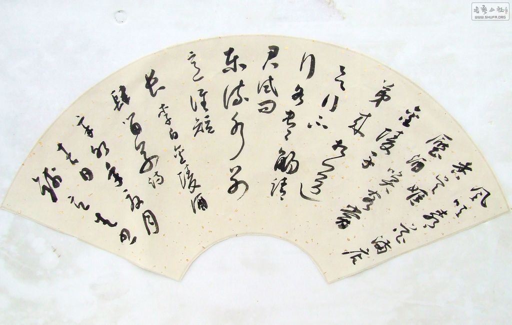 DSCF8513.JPG