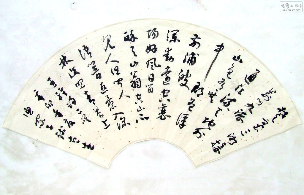DSCF8512.JPG