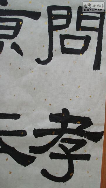 DSC09600.JPG