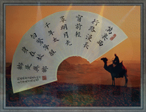 IMG_8857__.gif