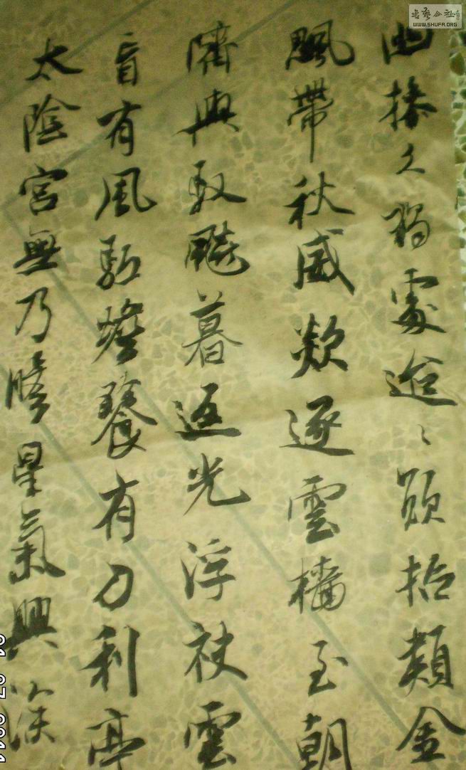 SANY0003.JPG