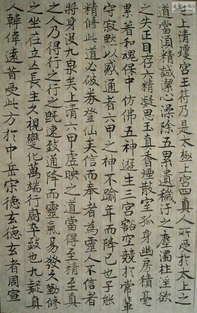 DSC05660.jpg