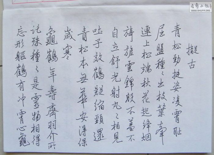 01.jpg