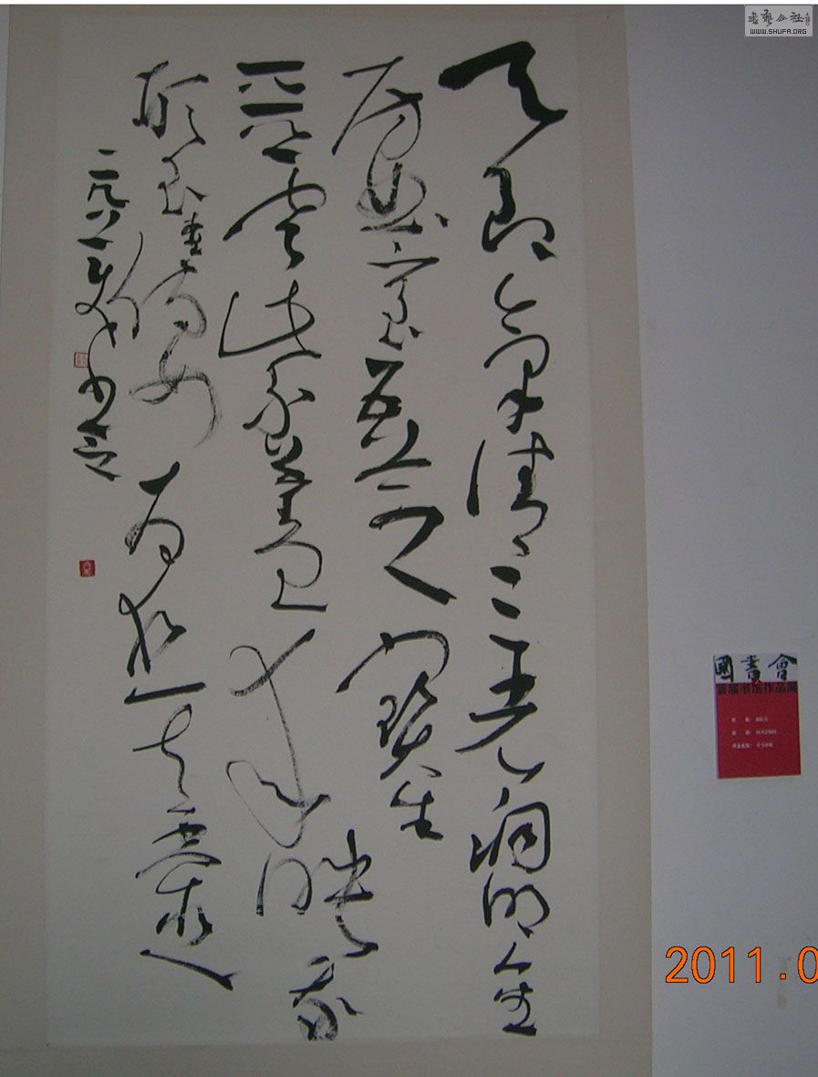 DSCN4732-14.jpg