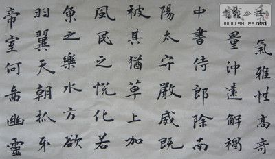 P1030432.JPG