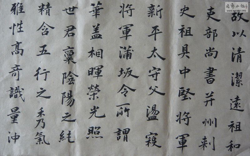 P1030436.JPG