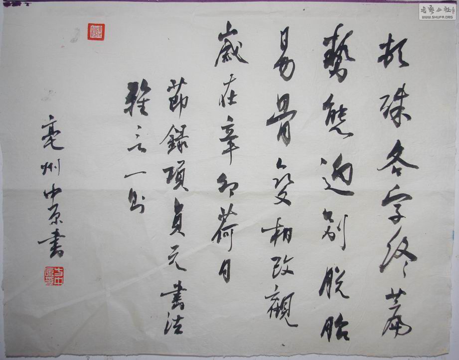 IMGP8364.jpg