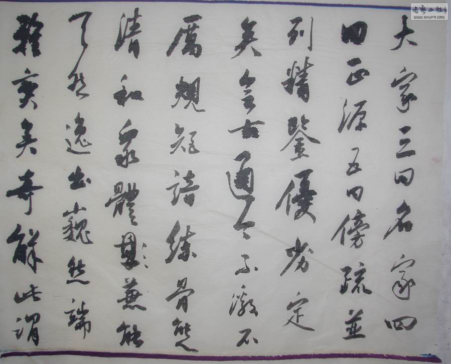 IMGP8358.jpg
