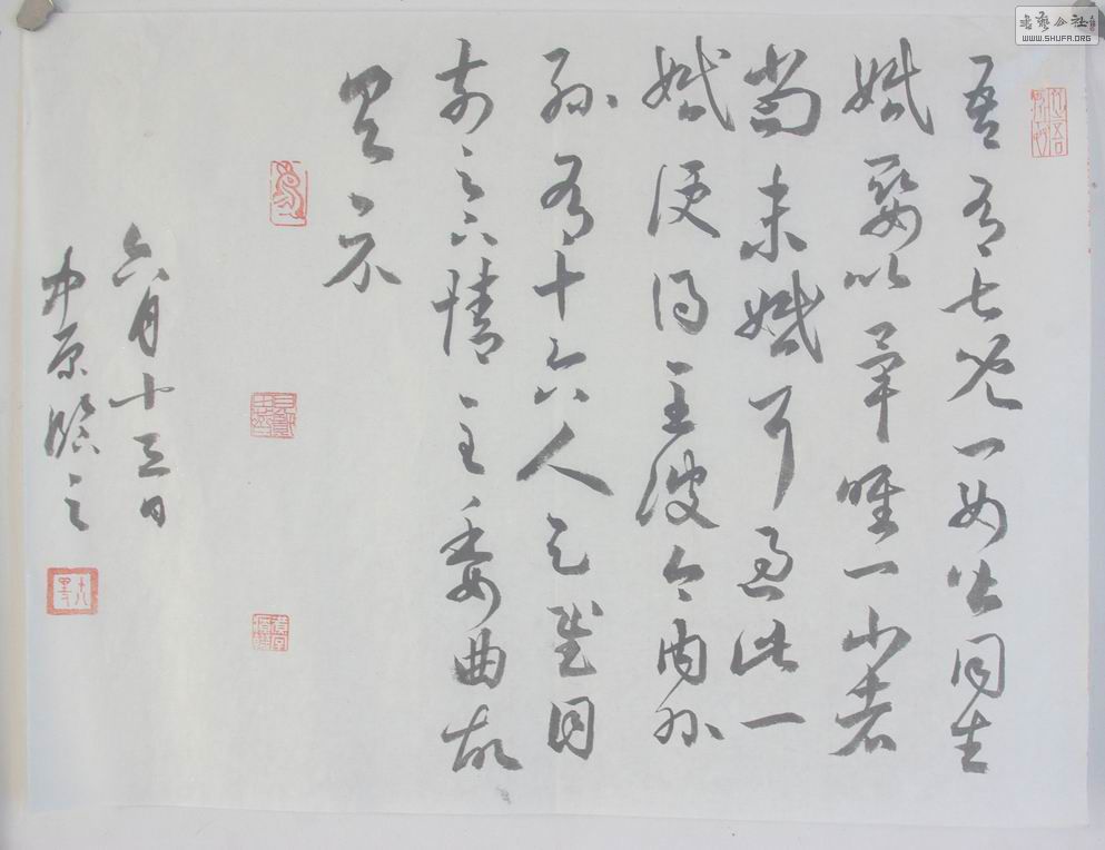 IMGP8370.jpg