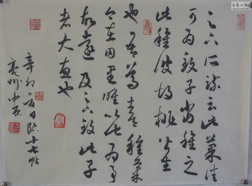 IMGP8377.jpg