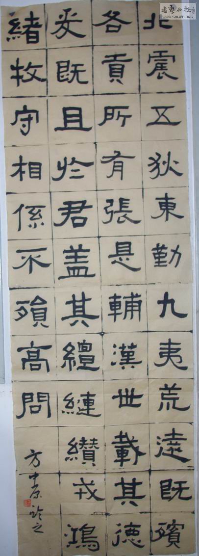 IMGP8380.jpg