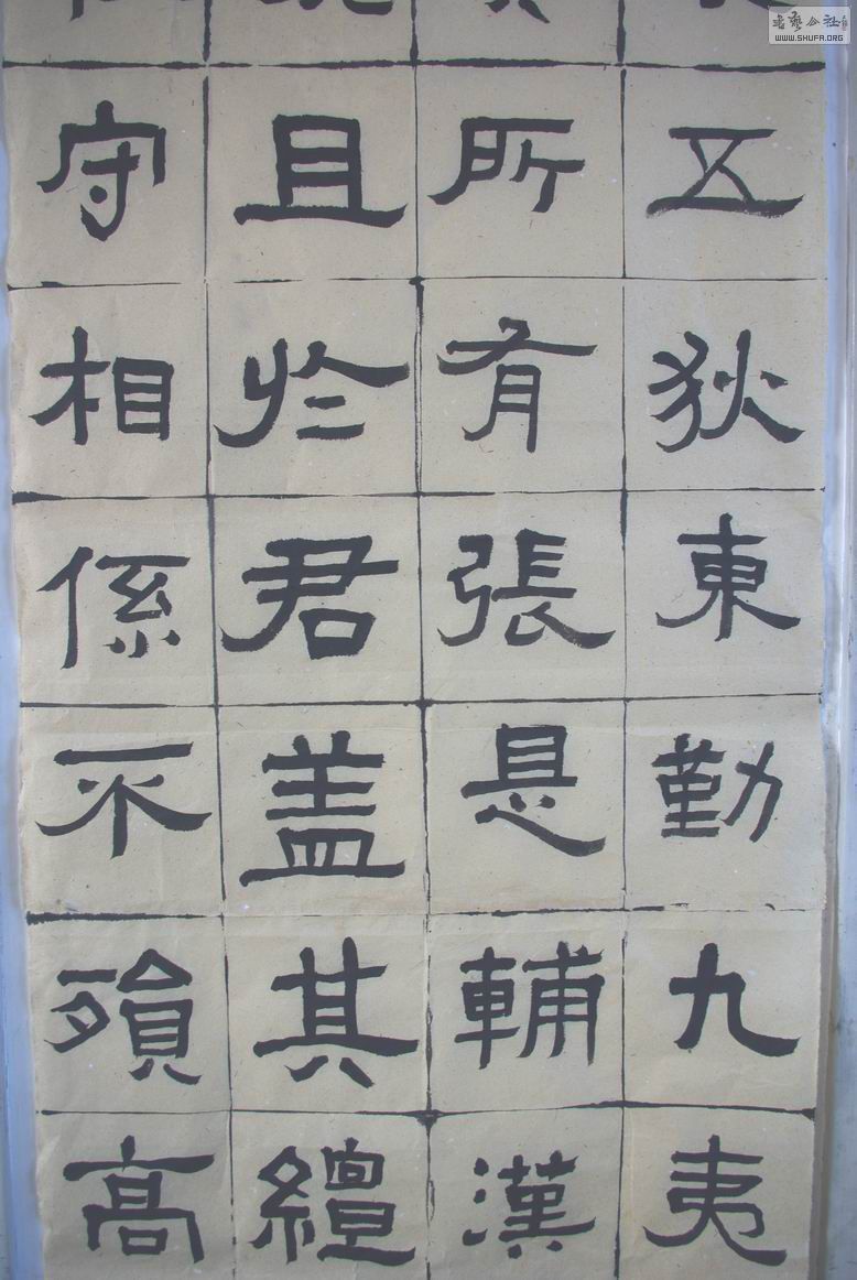 IMGP8381.jpg