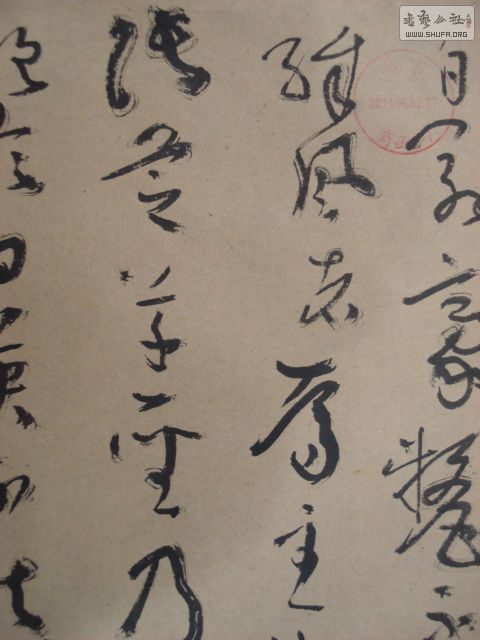 DSC08538.JPG