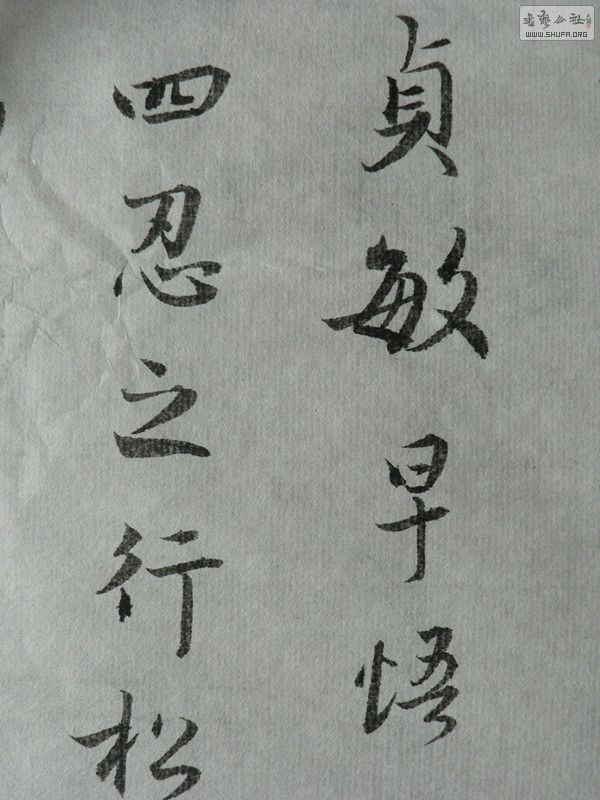 P1000094_.jpg