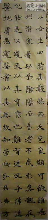 dscn6706_.jpg